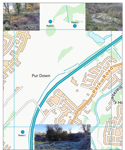 Map of Stoke Park pond restoration area