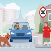 llustration of a person driving a car which has stopped at a pedestrian crossing which a dog is waking across. There's a 20mph sign on the road.