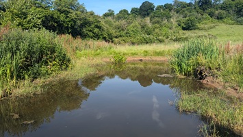 a pool in a green parkland