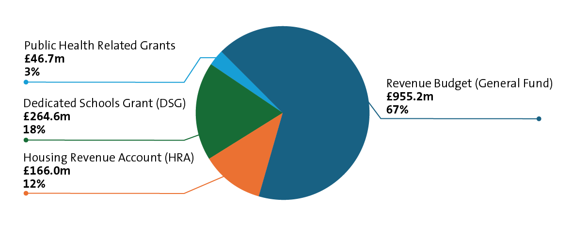 Figure 1 Budget areas