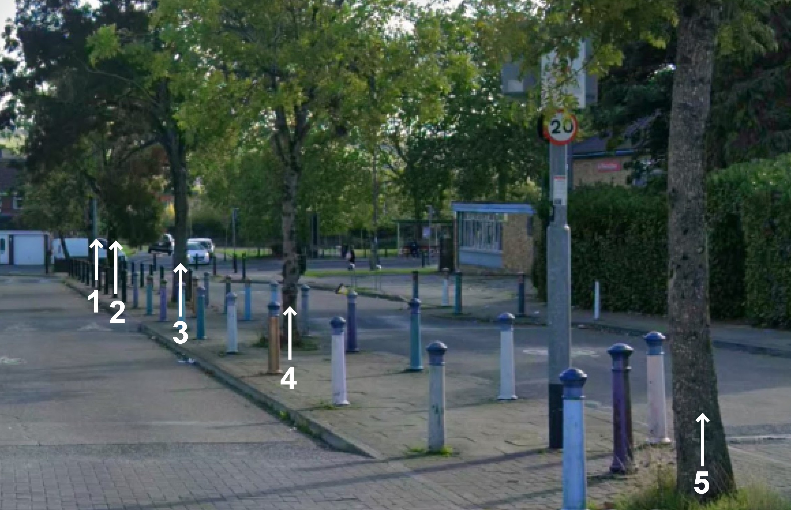 5 trees to be removed in the south of Filwood Broadway