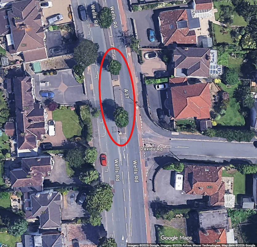 Google Maps screenshot showing location of trees on Wells Road