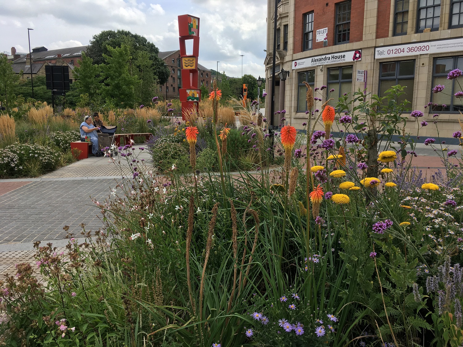 Example of landscape designed for biodiversity and water resilience: Grey to Green, Sheffield