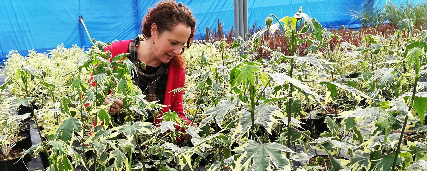 Woman at Blaise Plant Nursery