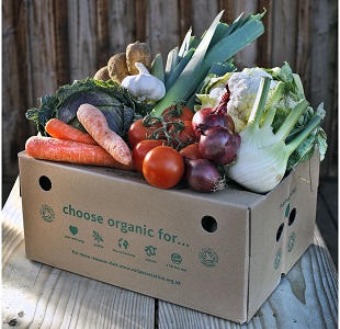 a vegetable box