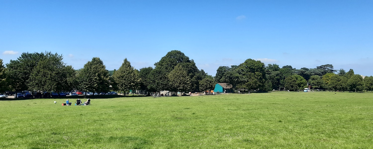 A green park surrounded by trees