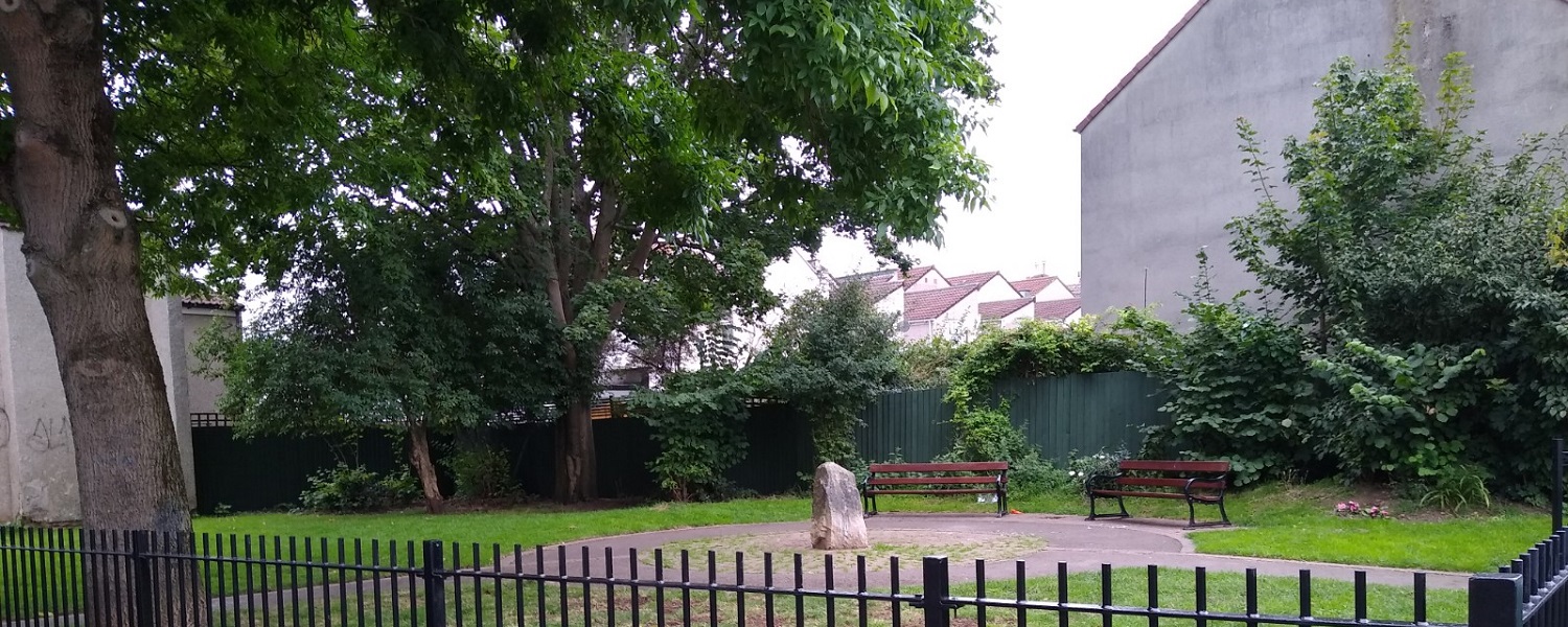 A community garden in a residential area