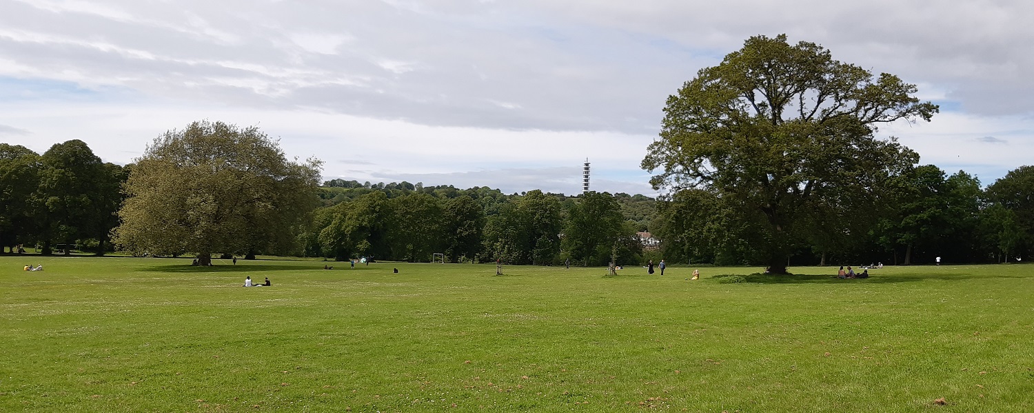 A large green park surrounded by trees