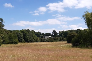 Blaise Estate