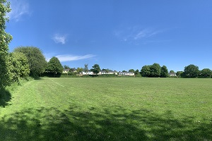 A large green space on a sunny day