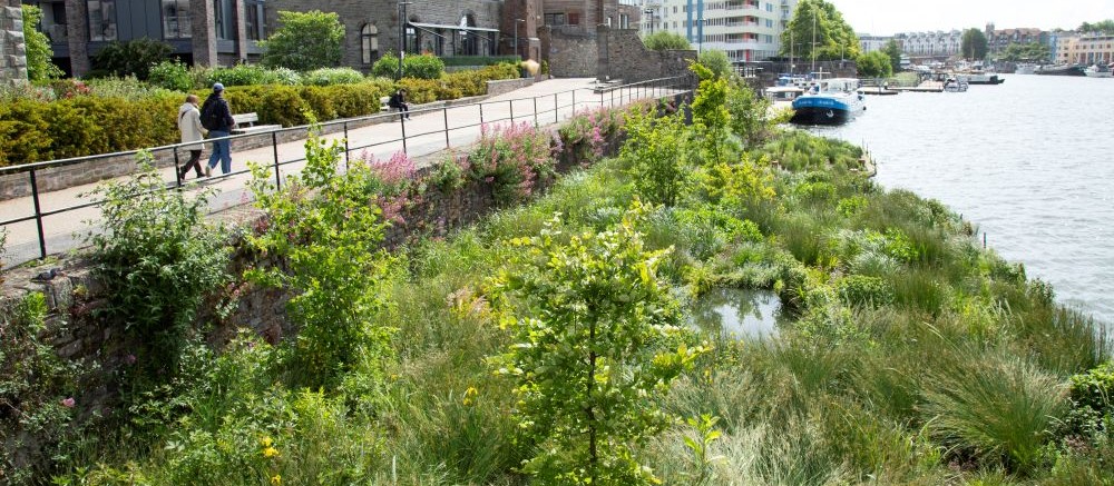 Plants and greenery on a floating platform in the harbour, a path to the side with two people walking