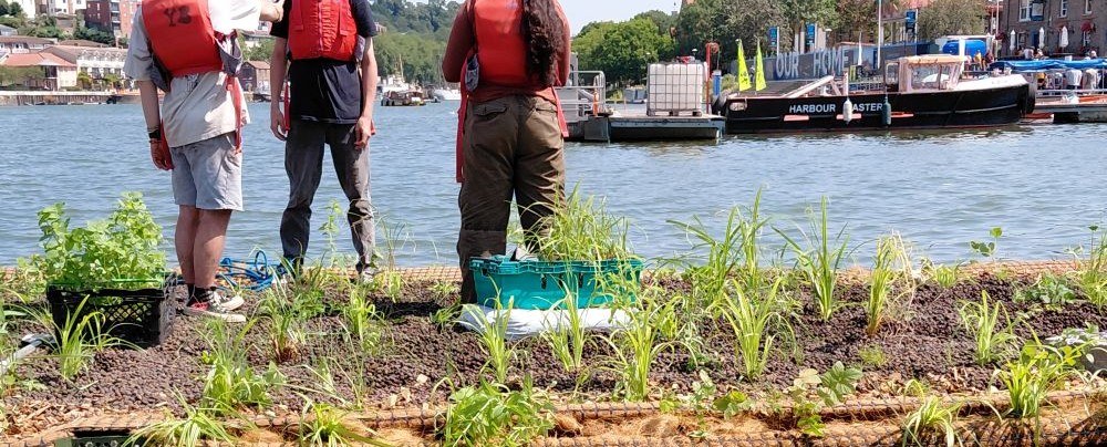 Some grass and earth floating on the water of the harbour. The backs of three people stood on the grass in also in the shot butonlyup to their shoulders