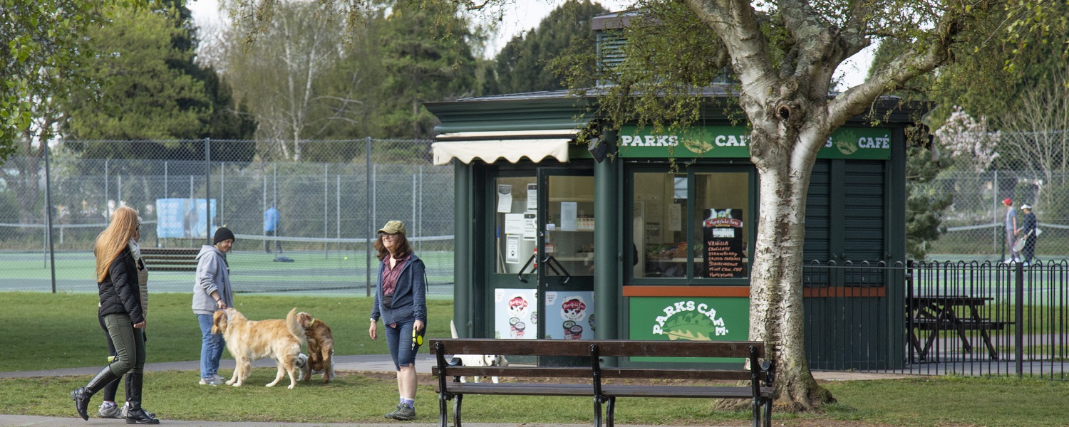Customers and dogs outside the cafe