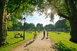 People walking and cycling in park